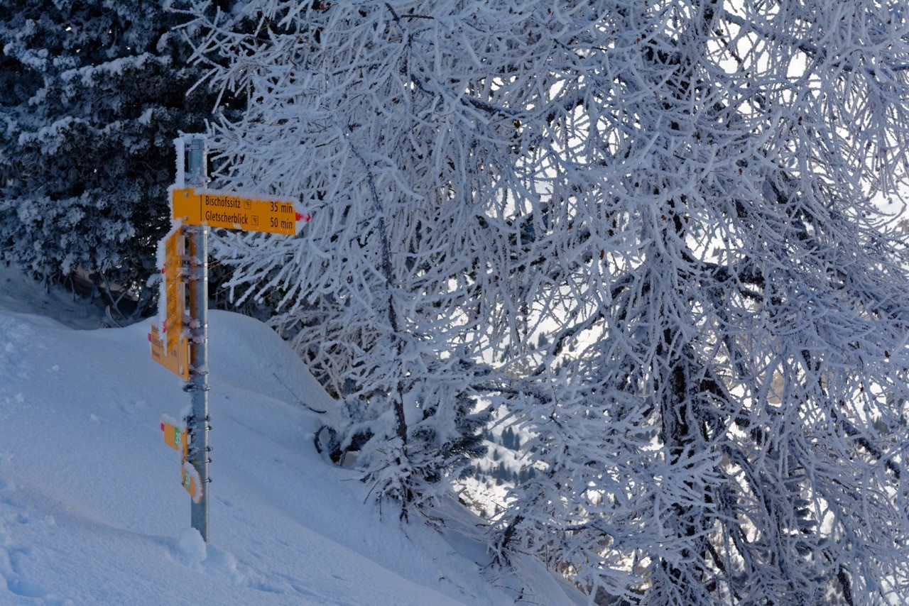Signpost in winter